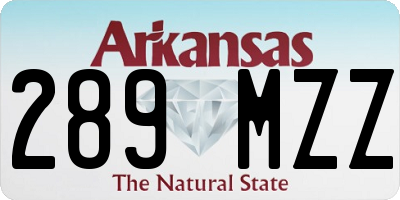 AR license plate 289MZZ
