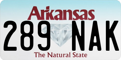 AR license plate 289NAK