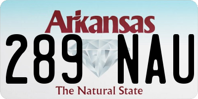 AR license plate 289NAU