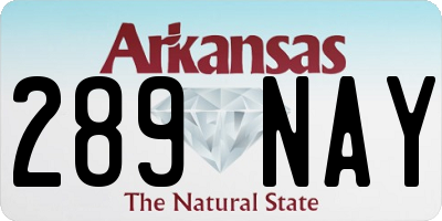 AR license plate 289NAY