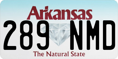 AR license plate 289NMD