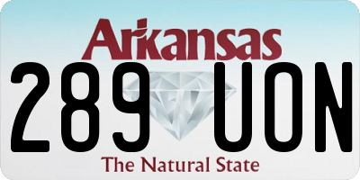 AR license plate 289UON