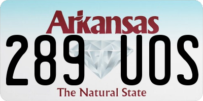 AR license plate 289UOS