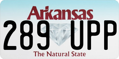 AR license plate 289UPP