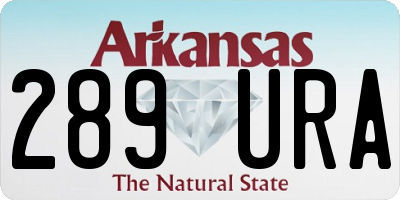 AR license plate 289URA