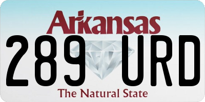 AR license plate 289URD