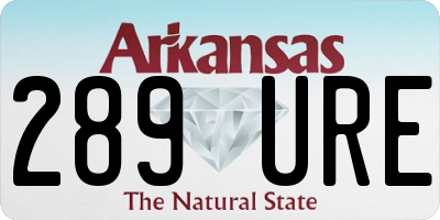 AR license plate 289URE