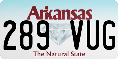 AR license plate 289VUG