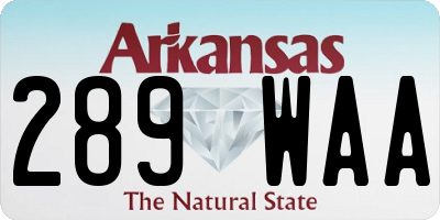 AR license plate 289WAA