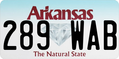AR license plate 289WAB