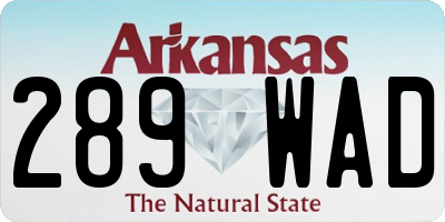 AR license plate 289WAD