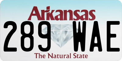 AR license plate 289WAE