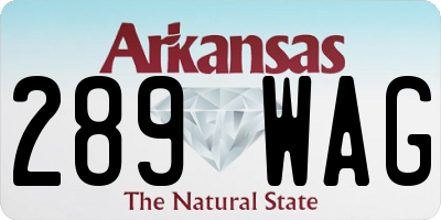 AR license plate 289WAG