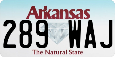 AR license plate 289WAJ