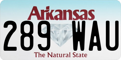AR license plate 289WAU