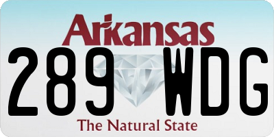 AR license plate 289WDG
