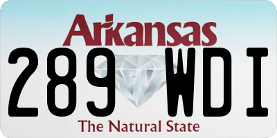 AR license plate 289WDI