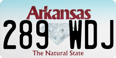 AR license plate 289WDJ