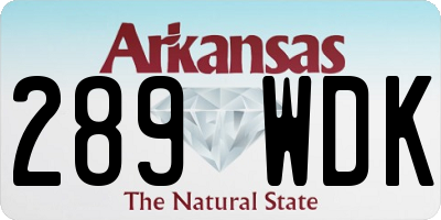 AR license plate 289WDK