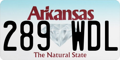 AR license plate 289WDL