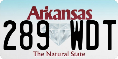 AR license plate 289WDT