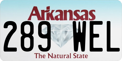 AR license plate 289WEL