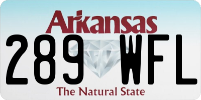 AR license plate 289WFL