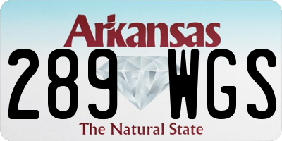 AR license plate 289WGS