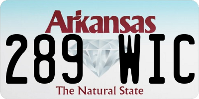AR license plate 289WIC