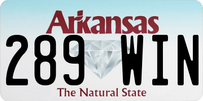 AR license plate 289WIN
