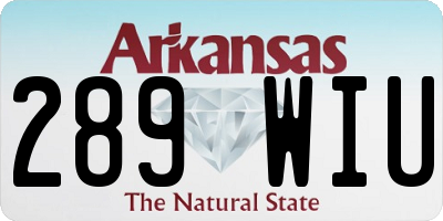 AR license plate 289WIU