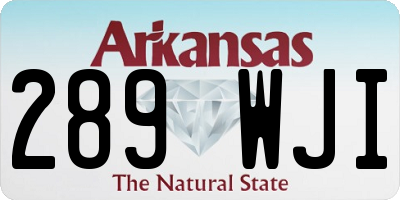 AR license plate 289WJI