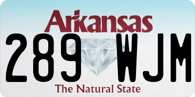 AR license plate 289WJM