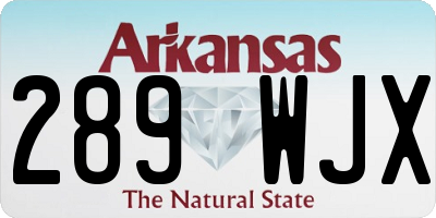 AR license plate 289WJX