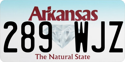 AR license plate 289WJZ
