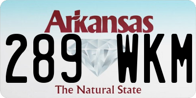 AR license plate 289WKM