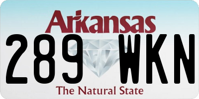 AR license plate 289WKN