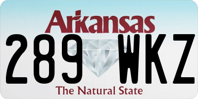 AR license plate 289WKZ