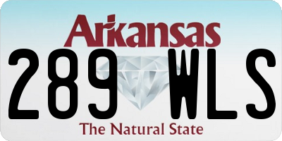 AR license plate 289WLS