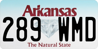AR license plate 289WMD