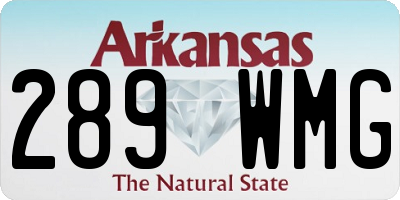 AR license plate 289WMG