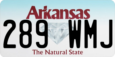 AR license plate 289WMJ