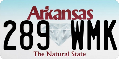 AR license plate 289WMK