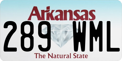 AR license plate 289WML