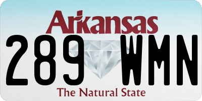 AR license plate 289WMN