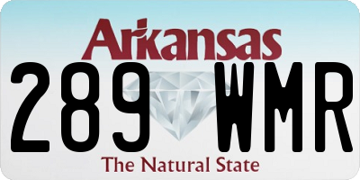 AR license plate 289WMR