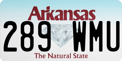 AR license plate 289WMU