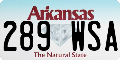 AR license plate 289WSA