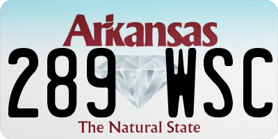 AR license plate 289WSC