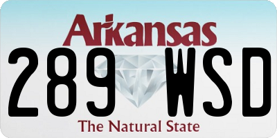AR license plate 289WSD